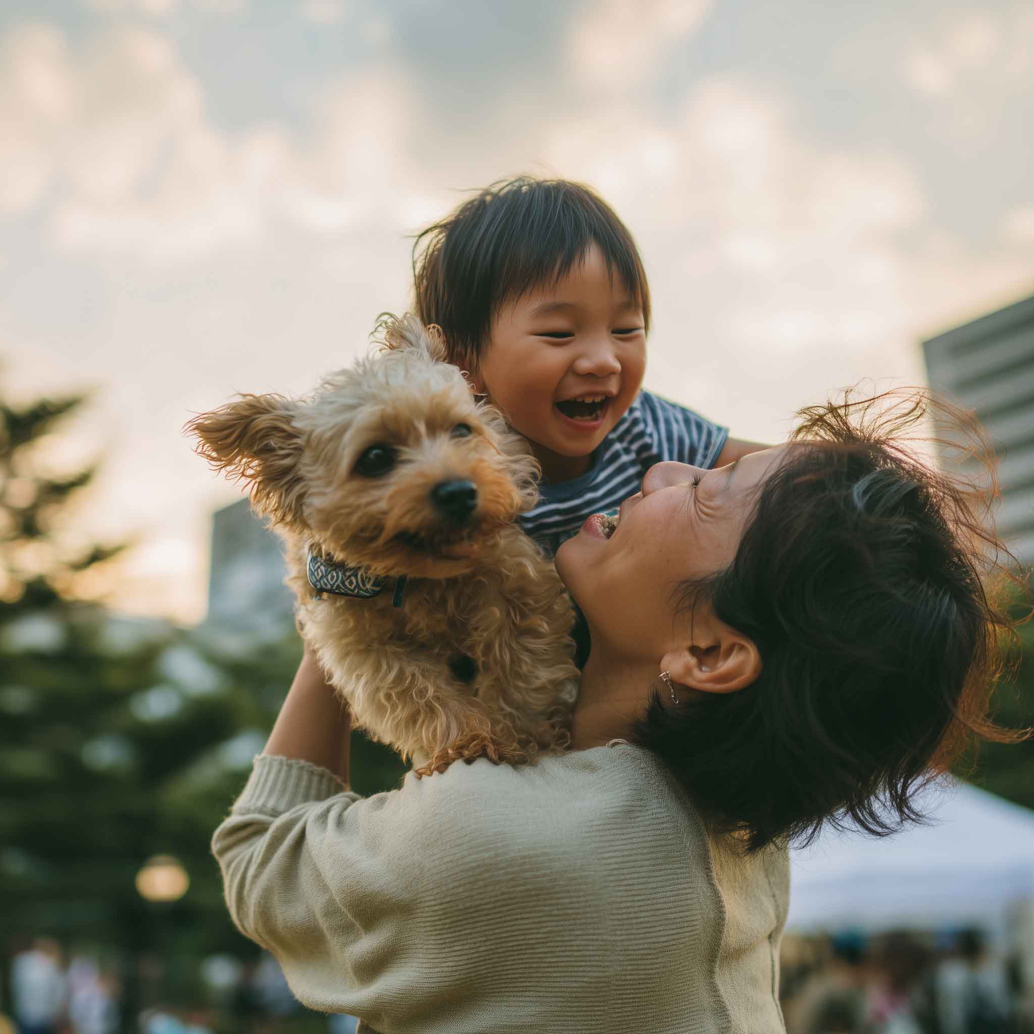 モダンで洗練されたリビング